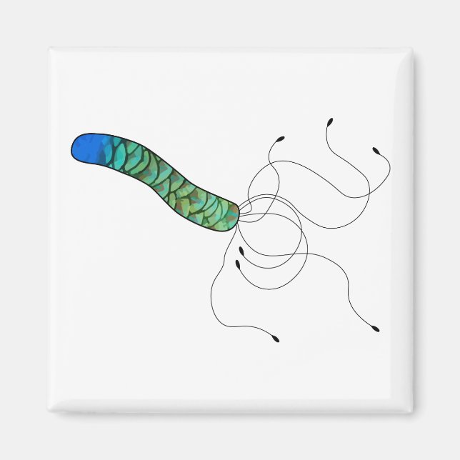 Feathered art microbe magnent magnet (Front)