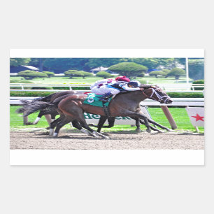 Feathered by Indian Charlie-Receipt Rectangular Sticker