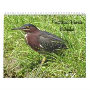 Feathered Friends - Bird Calendar