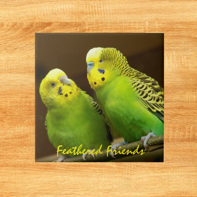 Feathered Friends Green and Yellow Parakeets Tile (In Situ)