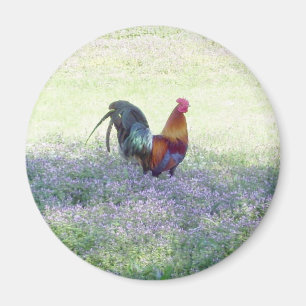 Feathered Pride Magnet