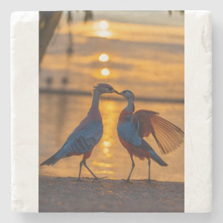 Feathered Waltz Stone Coaster