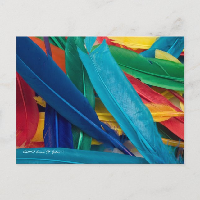 Featherly Postcard (Front)
