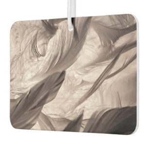 Feathers Car Air Freshener