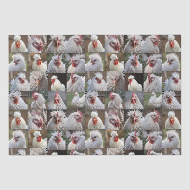 "Feathers in Focus: A White Chicken's Portrait" Tissue Paper (Front)