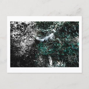 Feathers in the Woods by Jeffrey H. Thornton:  Postcard