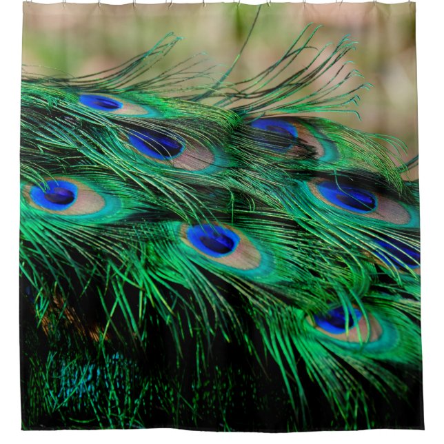 Feathers peacock feathers shower curtain (Front)