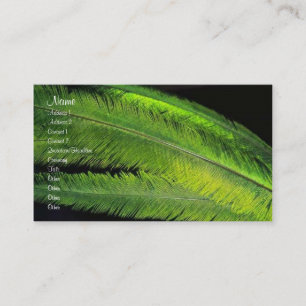 Feathers Profile Card
