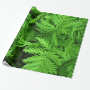 Feathery Green Ferns Wrapping Paper