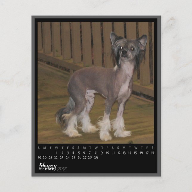 february 2012 calendar (Front)