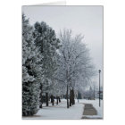 February 2012 Hoar Frost Grand Forks, North Dakota