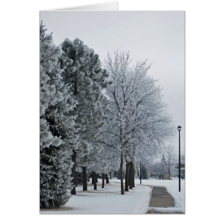 February 2012 Hoar Frost Grand Forks, North Dakota