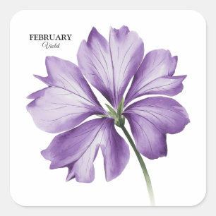 February Birthday Flower: Violet Personalized Gift Square Sticker