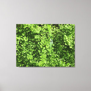 February Greens Canvas Print