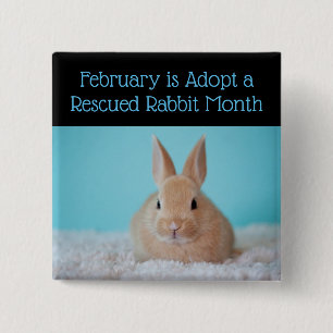 February is Adopt a Rescued Rabbit Month Button