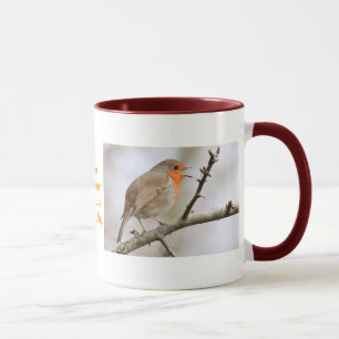 February Robin Mug