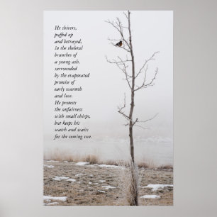 February Robin Nature Poster with Poem