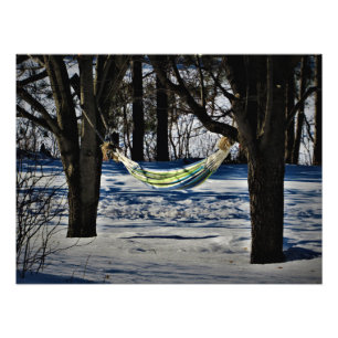 "February's Rest" Photo Print