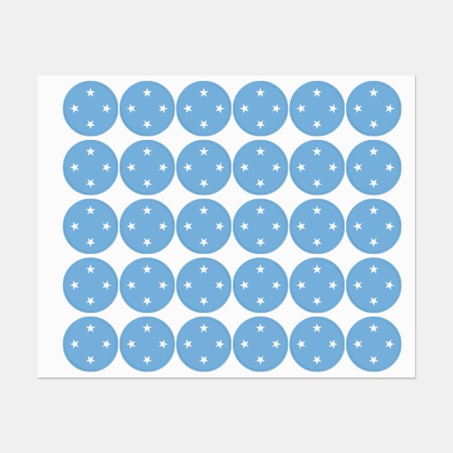 Federated States of Micronesia flag (Sheet)