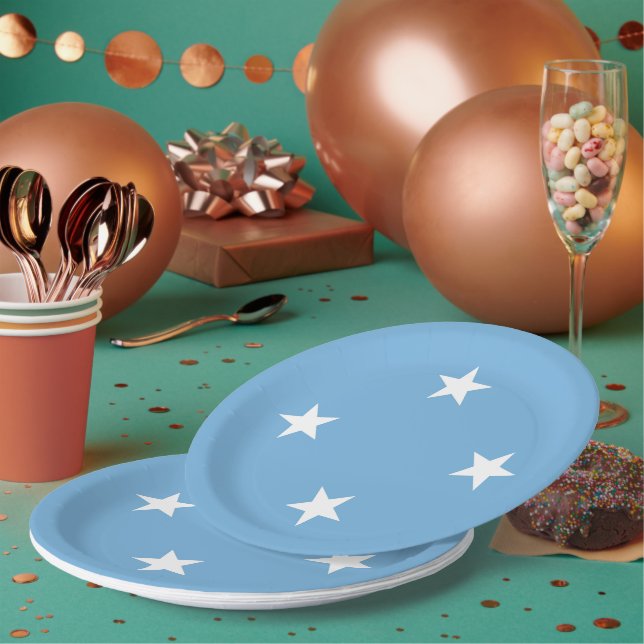 Federated States of Micronesia flag Paper Plate (Multi)
