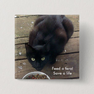 "Feed a Feral, Save a Life" feral cat button