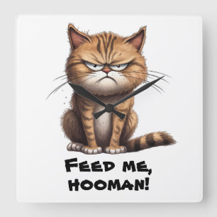 Feed Me, Hooman!  Funny Square Wall Clock