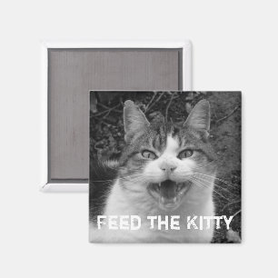 Feed the Kitty Crabby Cat Magnet