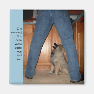 Feed the Starving Dog Magnet