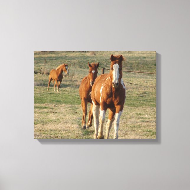 Feed Time Canvas Print (Front)