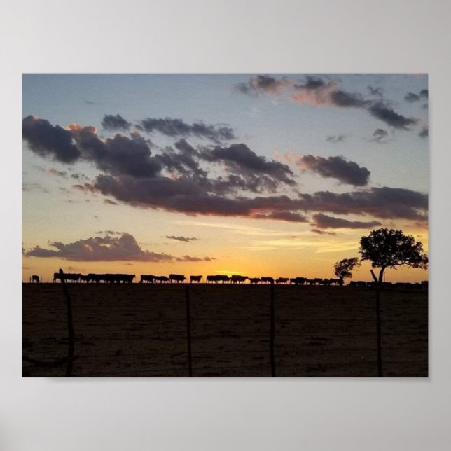 Feed Time Poster (Front)