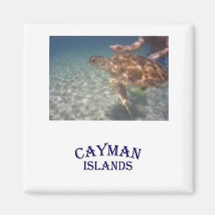 Feeding a turtle magnet