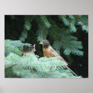 Feeding Baby Poster