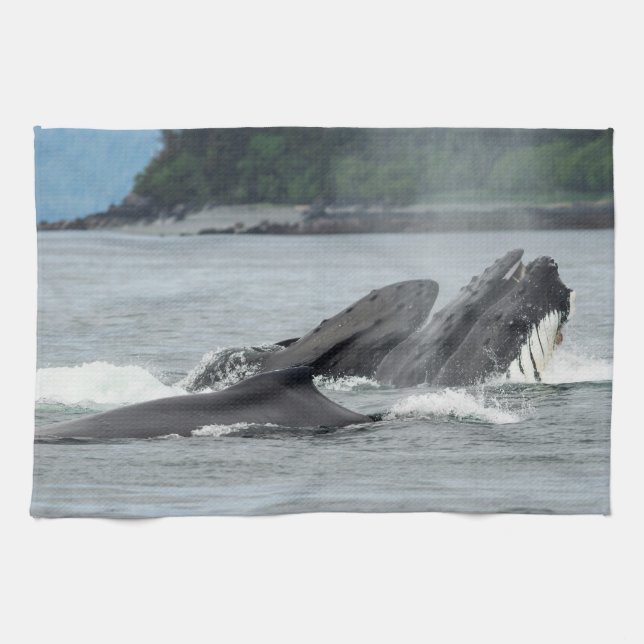 Feeding Humpback Whales Tea Towel (Horizontal)