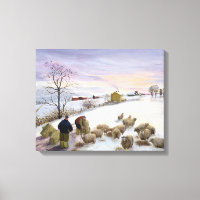 Feeding sheep in winter