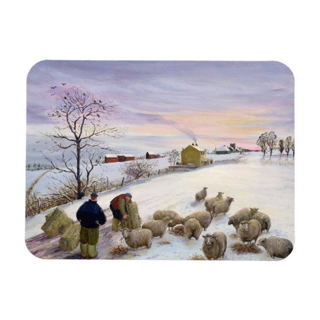 Feeding sheep in winter magnet (Horizontal)