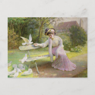 Feeding the Doves Postcard