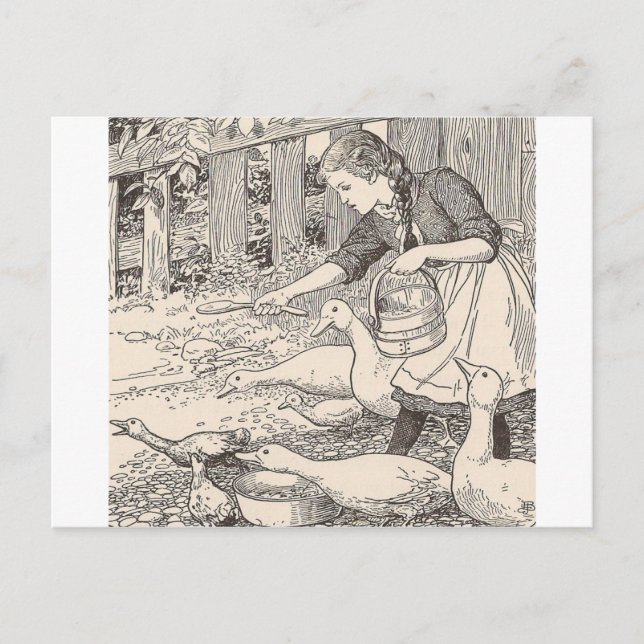 Feeding The ducks Postcard (Front)