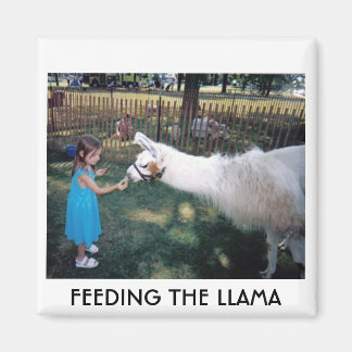 FEEDING THE LLAMA MAGNET