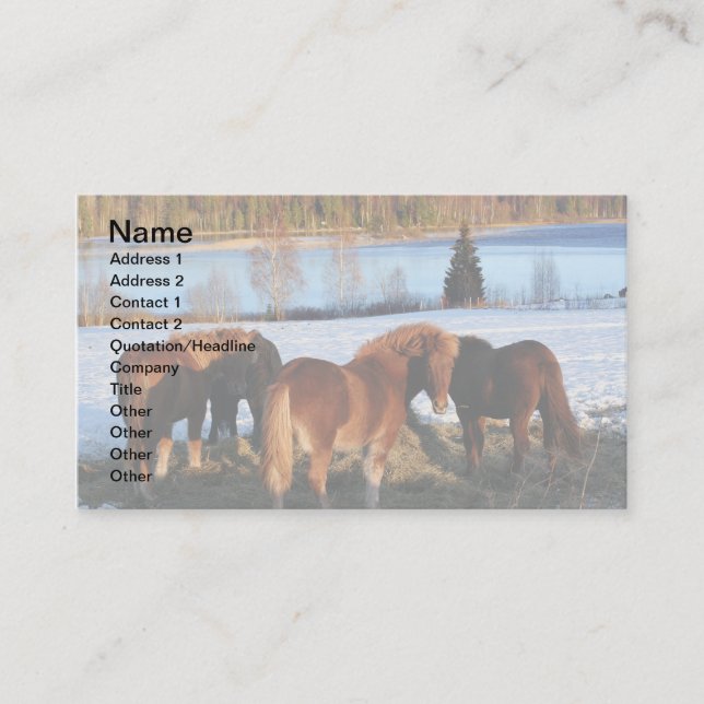 Feeding Time Business Card (Front)