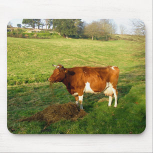 Feeding time for Guernsey cow Mouse Pad