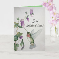 Feel Better Soon Cheer Joy Get Well Hummingbird