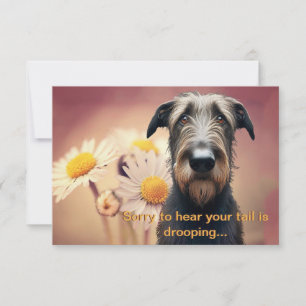 Feel Better Soon Irish Wolfhound