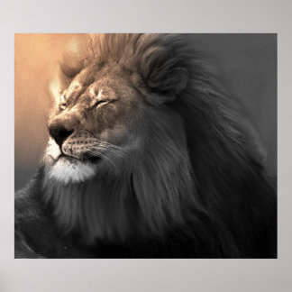 Feel The White Light Poster