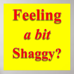 Feeling a Bit Shaggy Poster Matte