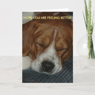Feeling Better card with beagle