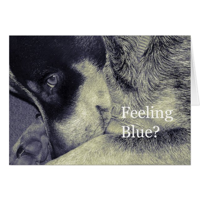 Feeling Blue (Front Horizontal)