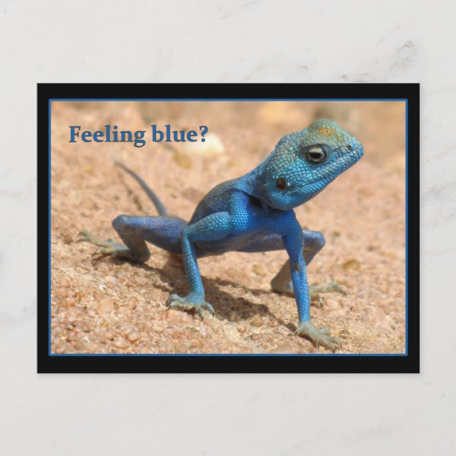 Feeling blue get well card (Front)