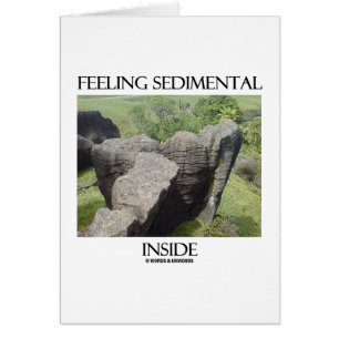 Feeling Sedimental Inside Limestone Geology Humour