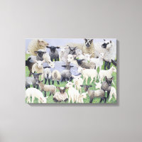 Feeling Sheepish