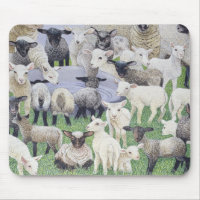 Feeling Sheepish